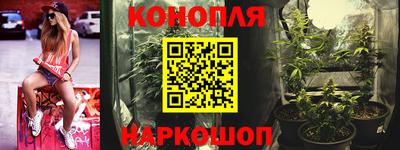 a pvp Пушкино