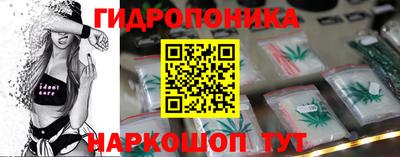 a pvp Пушкино