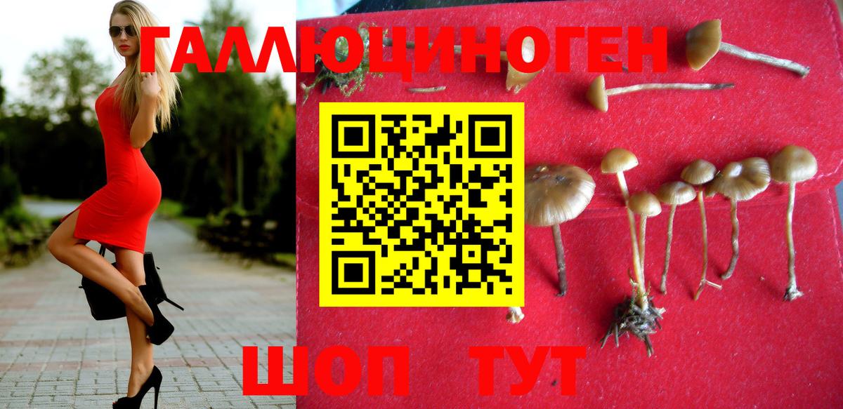 где купить наркоту  Вход с VPN  Фрязино  Галлюциногенные грибы Psilocybe 