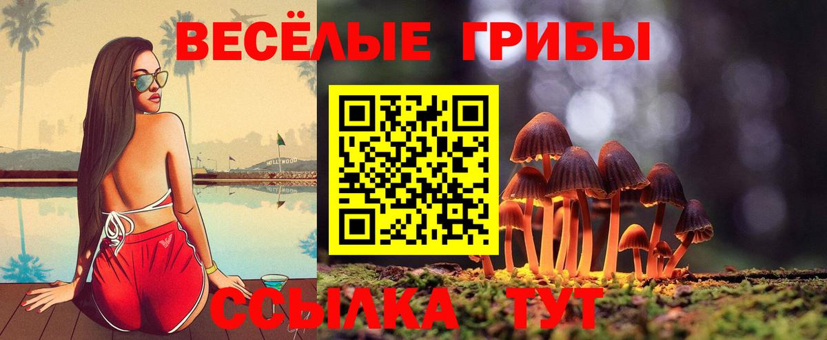 Галлюциногенные грибы Magic Shrooms Фрязино